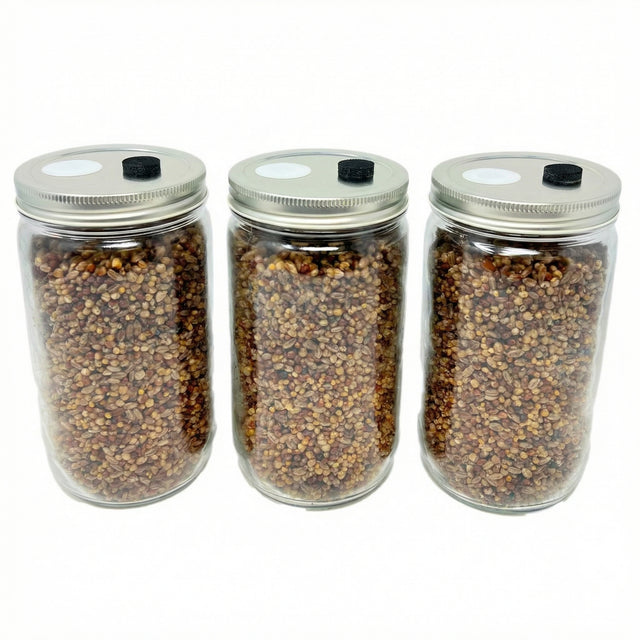 3-Pack Premium Quick-Colonizing 5-grain Jar (32oz) - Midwest Grow Kit's Substrate Jars (Image 1)