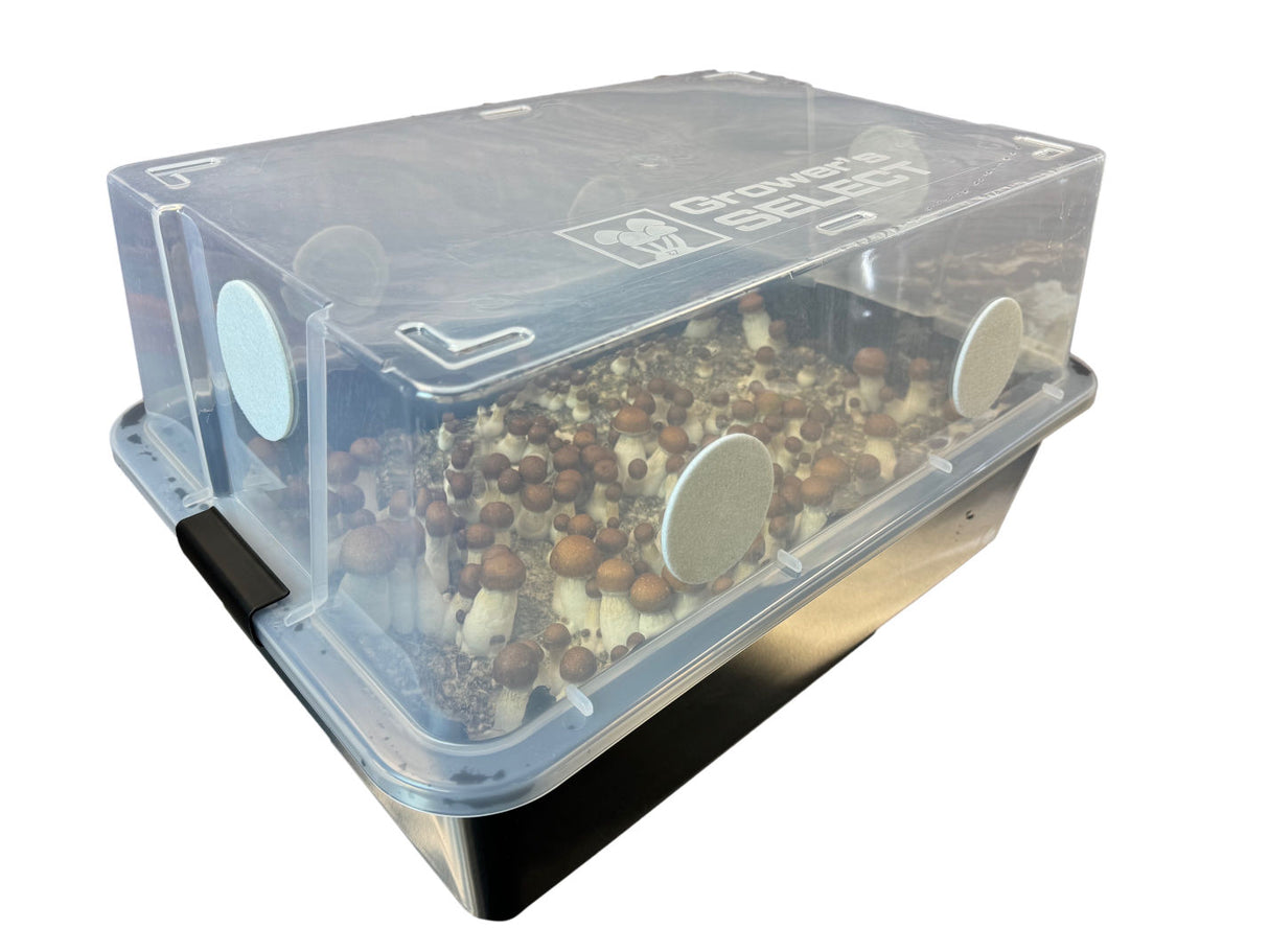 Complete Large 66Q Monotub Bulk Kit 