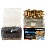 XL All-in-One Mushroom Grow Bag (6 lbs) for Manure Loving Mushrooms