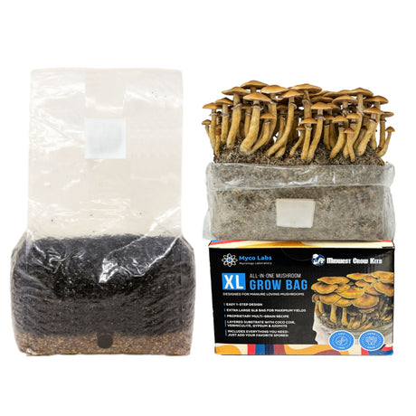 Wholesale All-in-One Mushroom XL Grow Bags (6 lbs) for Manure Loving Mushrooms (Case of 8)