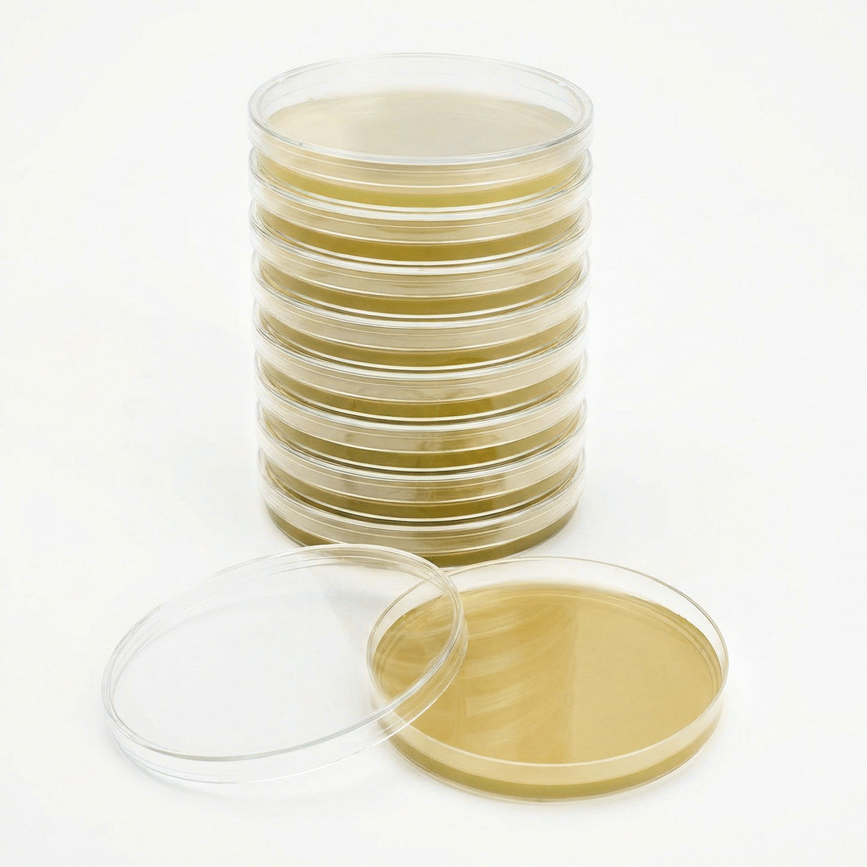 stack of sterile light malt LME agar plates