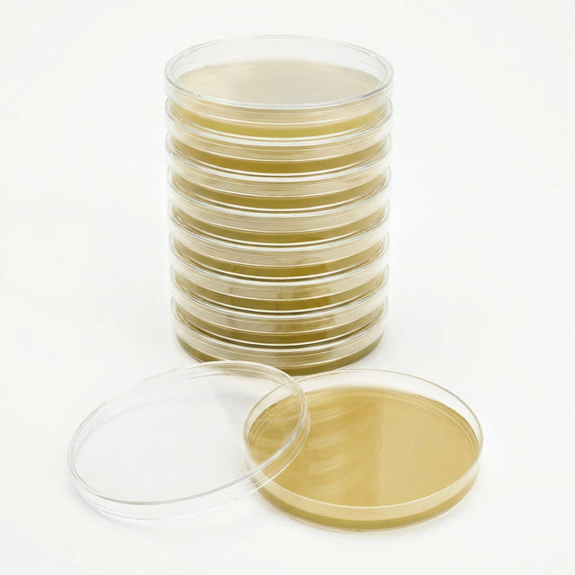 stack of sterile light malt LME agar plates