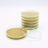 Pre-Poured Sterilized Malt Extract Agar Plates (5-Pack)