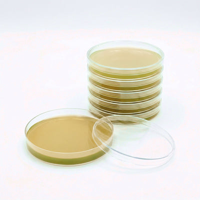 Pre-Poured Sterilized Malt Extract Agar Plates (5-Pack)