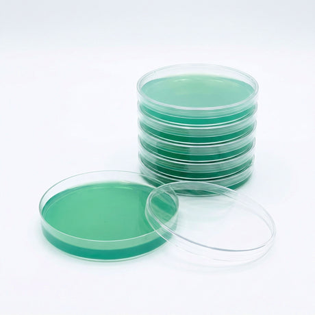 Stack of petri dishes with green agar on a white background