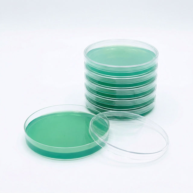 Stack of petri dishes with green agar on a white background