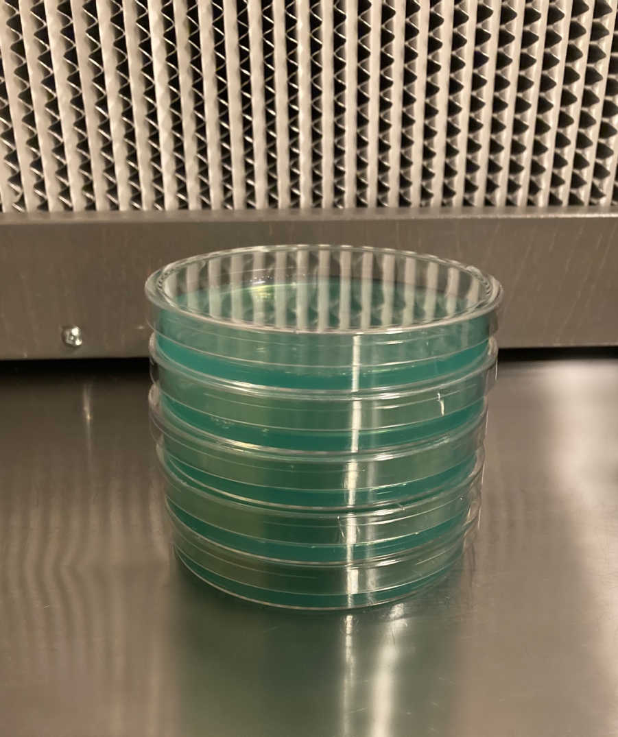 Pre-Poured Sterilized Malt Extract Agar Plates (5-Pack) 