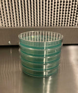 Pre-Poured Sterilized Malt Extract Agar Plates (5-Pack) 
