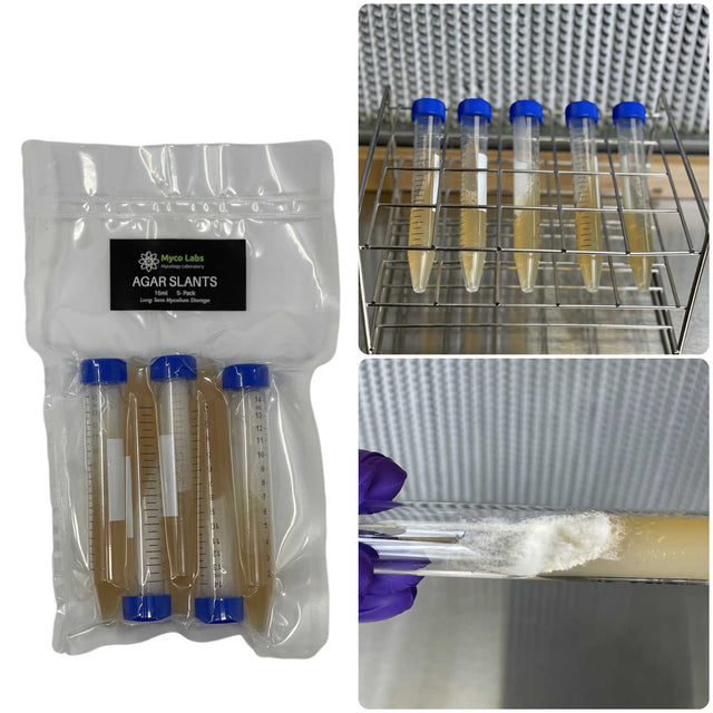 Sterilized Malt Extract Agar Slants (5-Pack) 