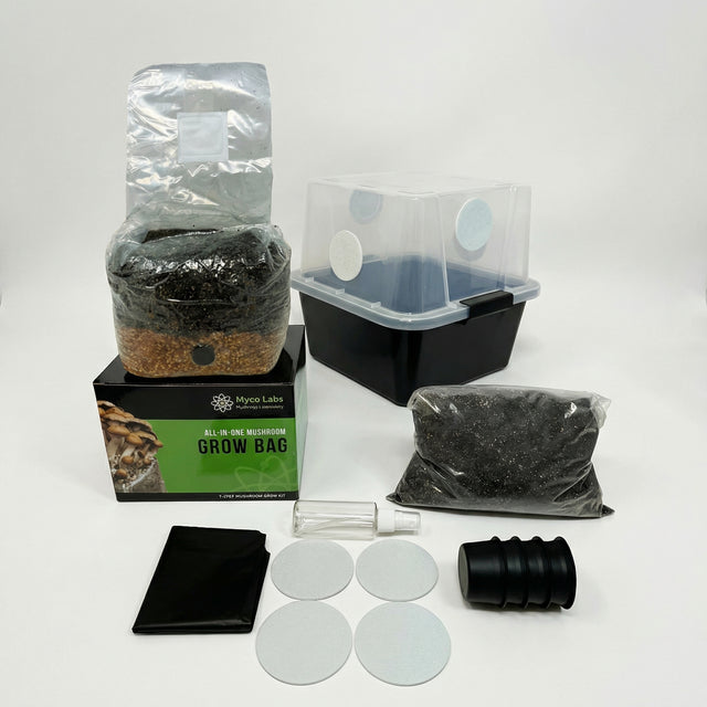 All-in-One Mushroom Monotub Starter Grow Kit (6 LBS) with white background
