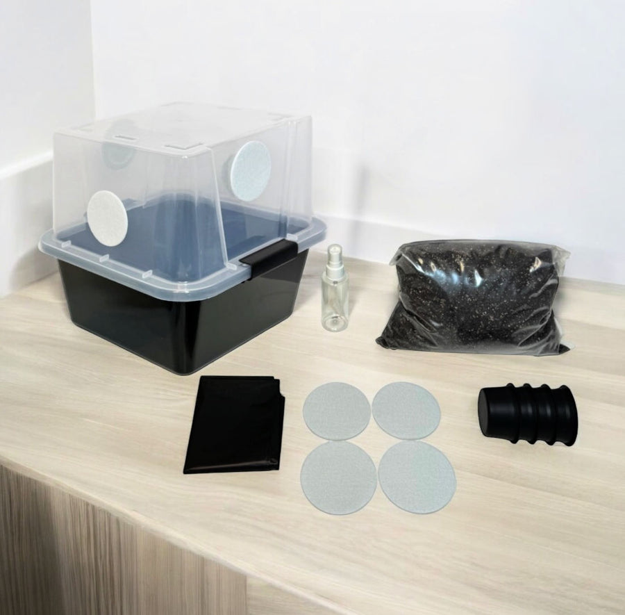 Mushroom Grow Kits | Mushroom Fruiting Chambers | Midwest Grow Kits