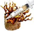 Antler Reishi Liquid Culture Syringe (10cc) 