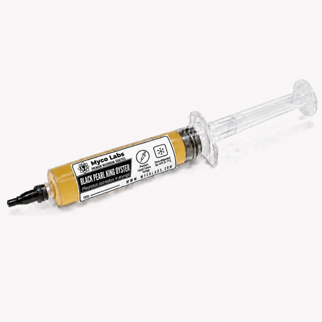 Black Pearl King liquid culture syringe by Myco Labs