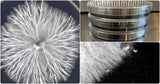 Pre-Poured Sterilized BLACK MEA Agar Plates