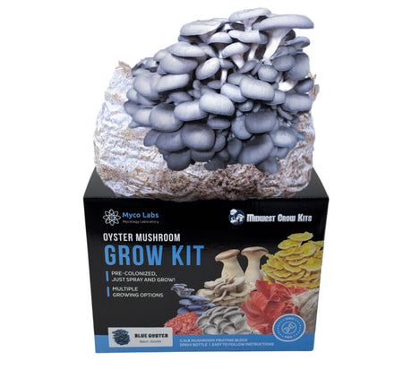 Blue Oyster Grow Kit