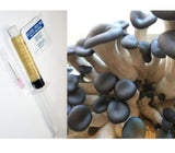 Blue Oyster Liquid Culture 