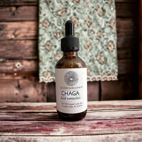 Chaga Dual Extraction Organic Mushroom Tincture 