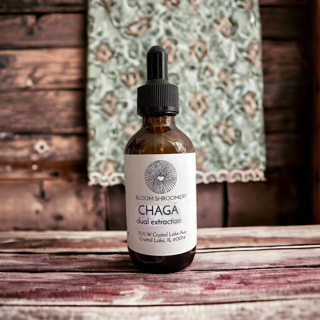 Chaga Dual Extraction Organic Mushroom Tincture 