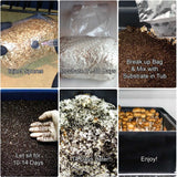 Complete Large 66Q Monotub Bulk Spawn Growing & Casing Kit step by step instructions