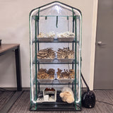 4-tier mushroom grow tent with trays of mushrooms fruiting on three shelves, the heater unit on the bottom rack and a humidifier beside the tent