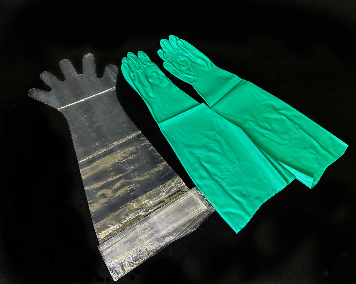 gloves