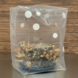 Portable Mushroom Humidity Tent