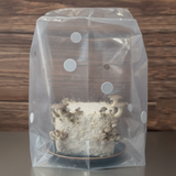 humidity tent Portable Mushroom Humidity Tent