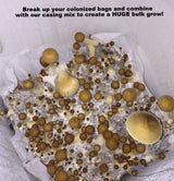 The Original Rye Spawn Bags tub