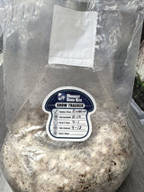 Grow Tracker label used to log a mushroom grow