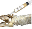 King Trumpet Oyster Liquid Culture Syringe (10cc) 
