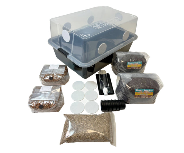 Complete Large 66Q Monotub Bulk Spawn Growing & Casing Kit 