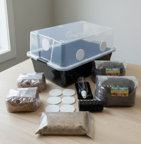 Large 66Q monotub grow kit set up
