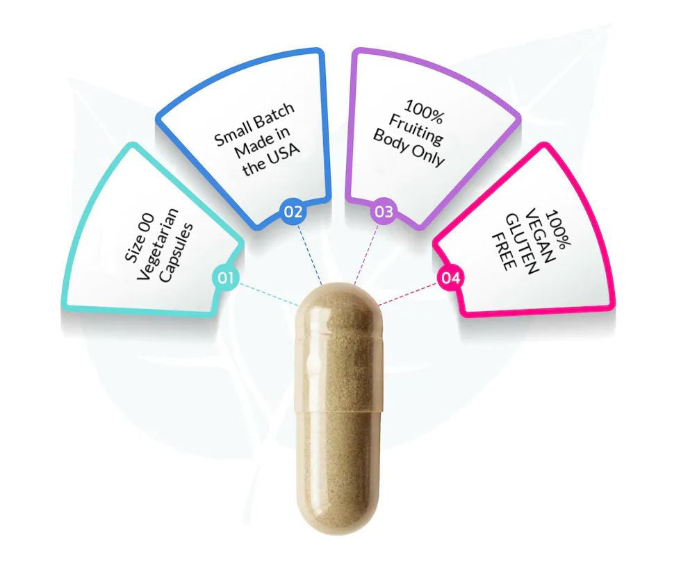 Myco Labs Lion's Mane Whole Food Supplement 