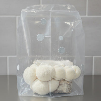 Portable Mushroom Humidity Tent