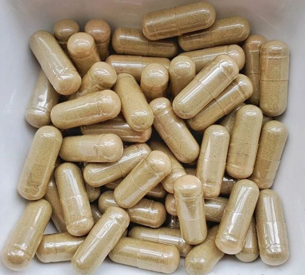 Myco Labs Lion's Mane Whole Food Supplement – 1,000mg per Serving 