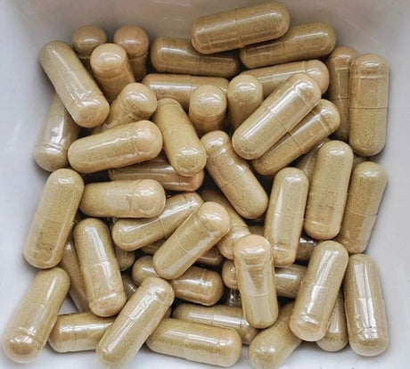 Myco Labs Lion's Mane Whole Food Supplement – 1,000mg per Serving 