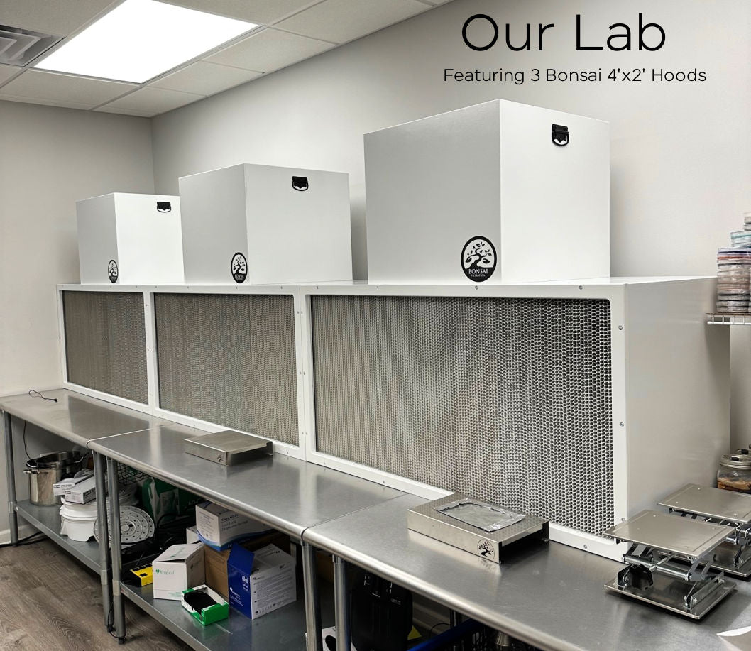MGK_LAB_BONSAI