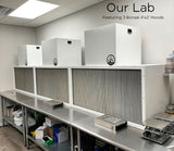 MGK_LAB_BONSAI