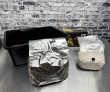Complete Refill Kit for Large 66Q Monotub Grain Spawn & Bulk Substrate 