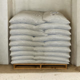 Bulk Red Sorghum (Milo) Grain