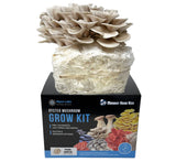 Pearl Oyster mushrooms