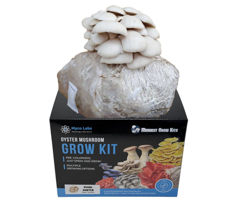Pearl Oyster Mushroom Grow Kit