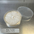 Pink oyster colonized agar plate on table