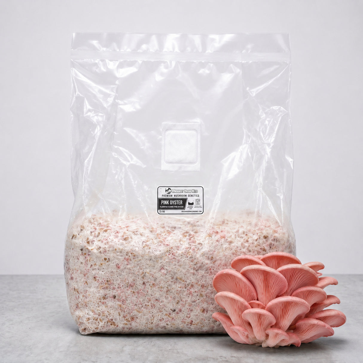 Pink oyster colonized grain spawn in a bag. 