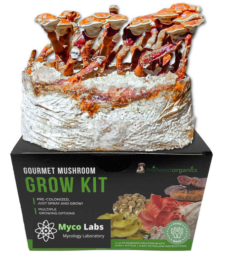 Red Reishi Mushroom Growing Kit