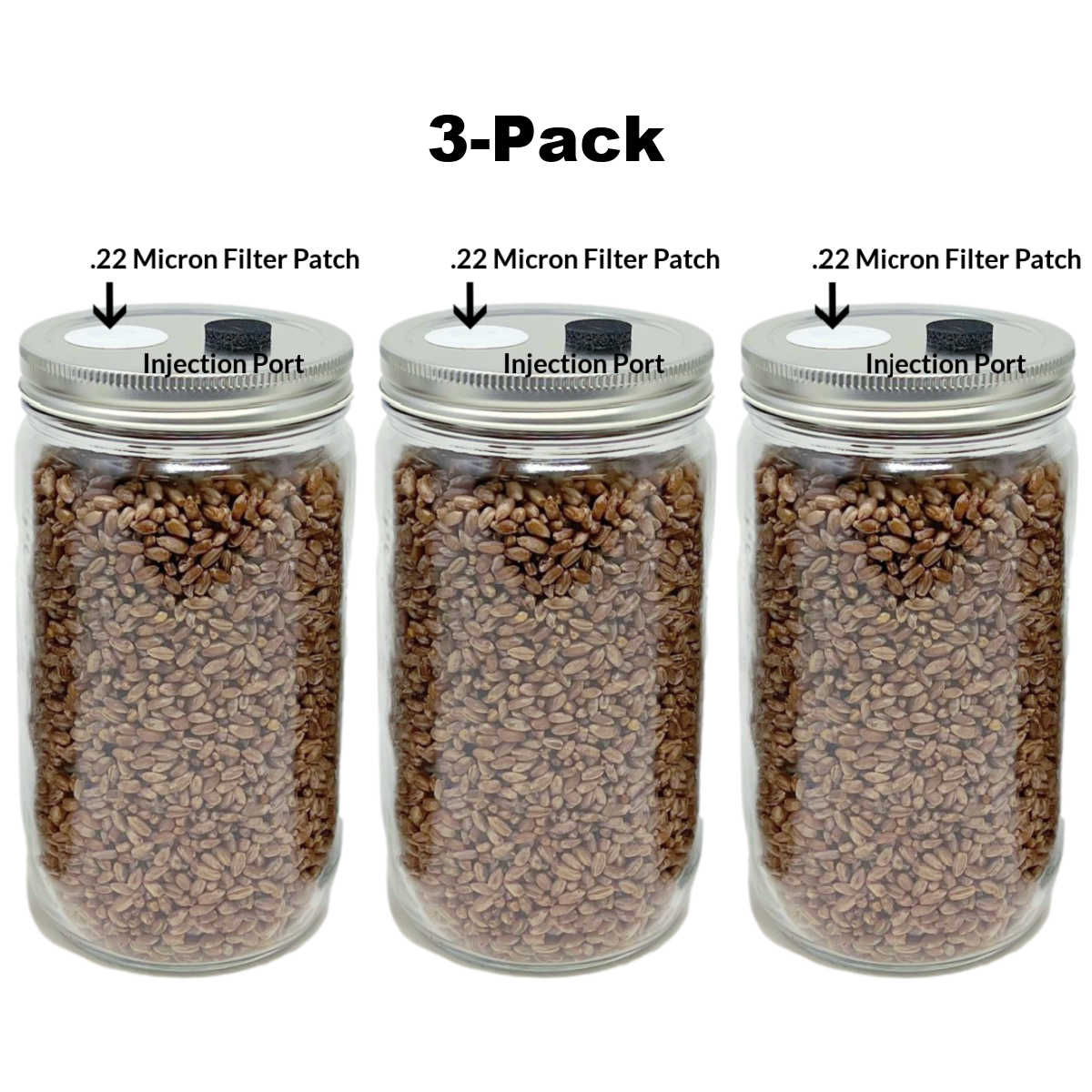 3-Pack Original Rye Grain Jars 32oz | Midwest Grow Kits