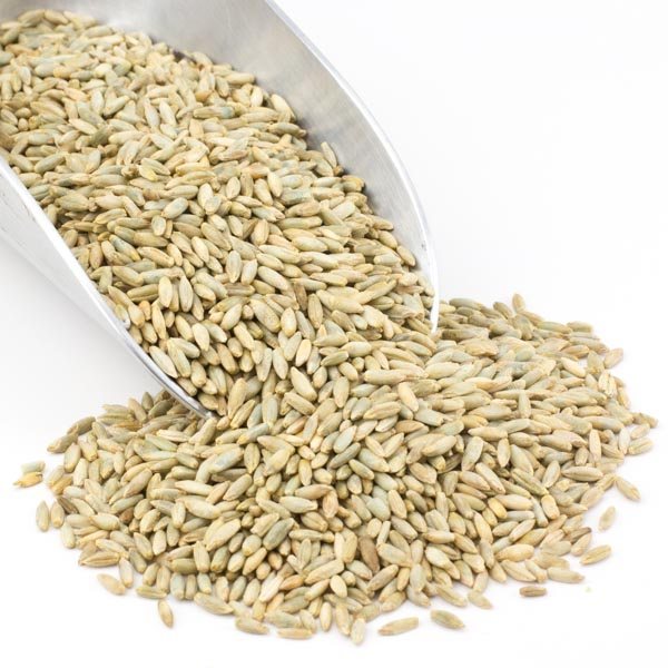 Bulk Organic Rye Berries (40 LBS) 