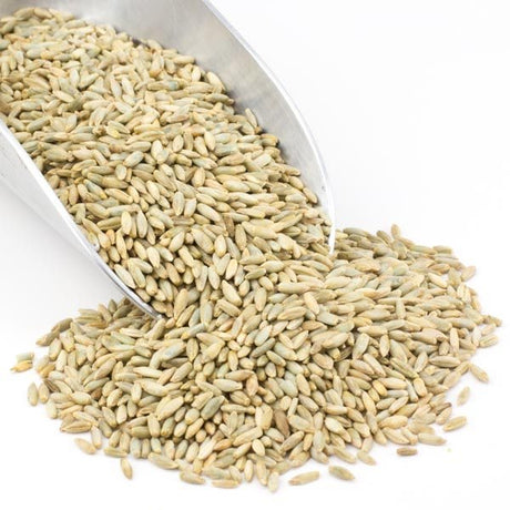 Bulk Organic Rye Berries (40 LBS) 