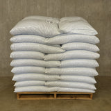 Bulk White Millet Grain