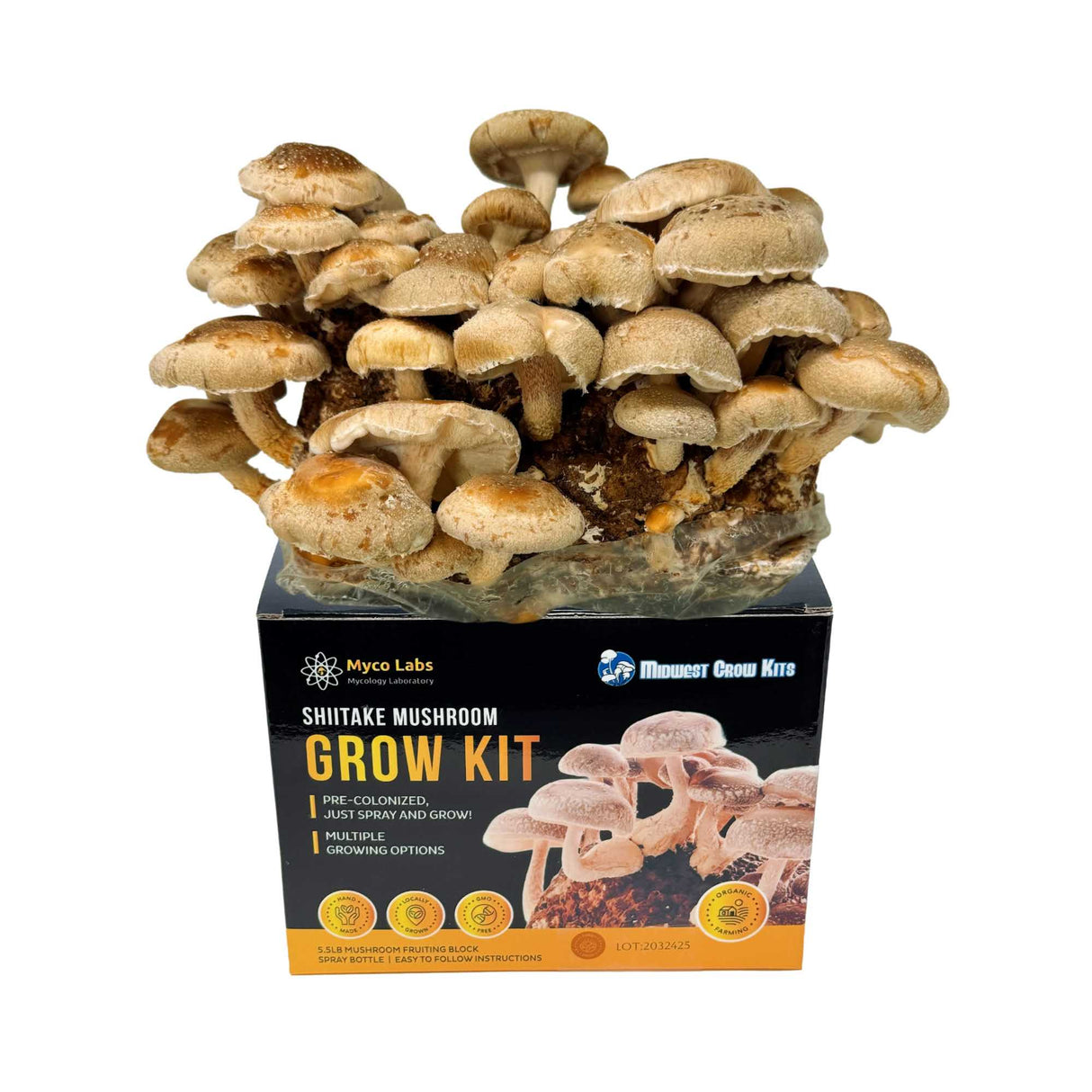 Mycolabs Shiitake Grow Kit